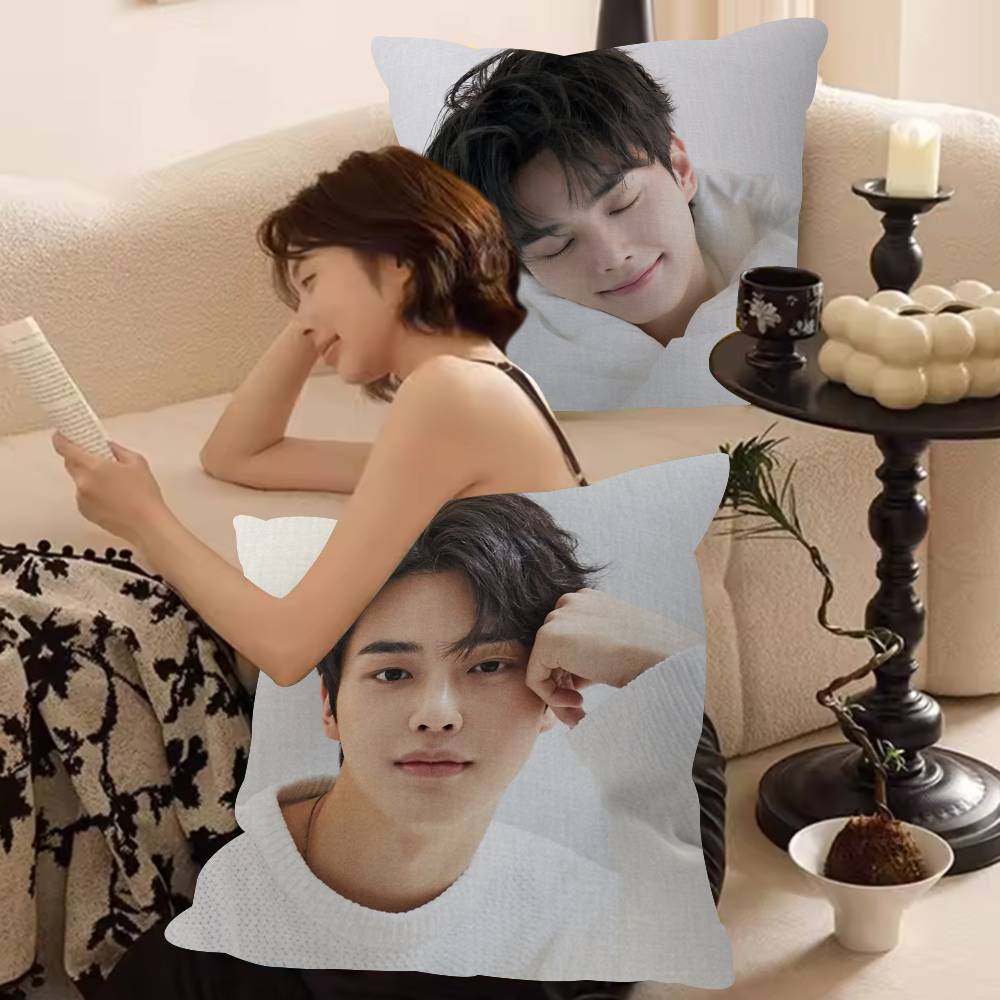 Sarung Bantal Kpop Actor yang  - Hot Home Of Textiles ulasan dan harga